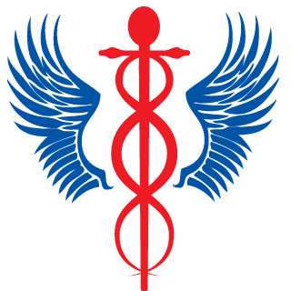 6dd20584b0dbc480's emblem