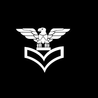 Rylo704's emblem