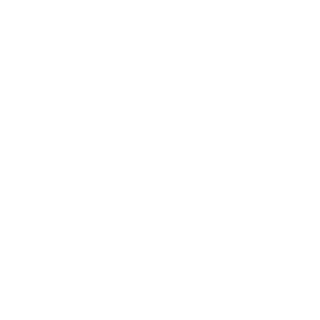 SamVsami's emblem