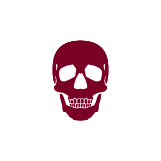 DerFroschObi's emblem