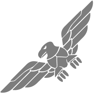 BRS_KiDz's emblem