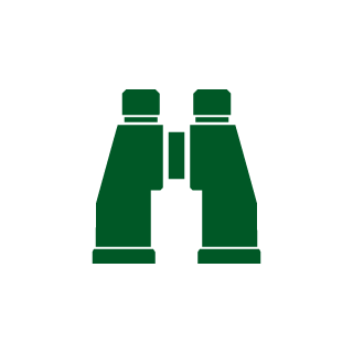 NAIF-SAAD's emblem