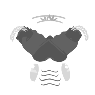 marcin_nawrocki's emblem