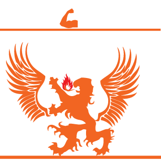 NinjaKiwiNL's emblem