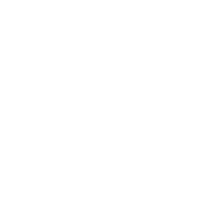 Stravenger's emblem