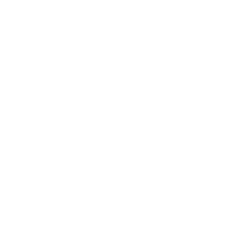 Romanov117's emblem