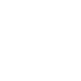StArDuSt_3x's emblem