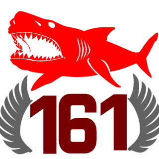 VamplR_161rus's emblem