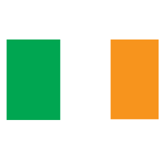 Irish Special Forces's emblem