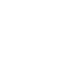 LowDollar's emblem