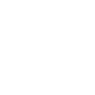 APESowo's emblem