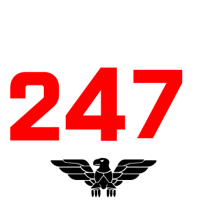 I 22sas man's emblem