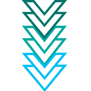 czesioks's emblem