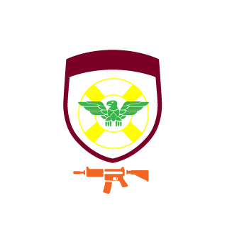 USN_Viper's emblem