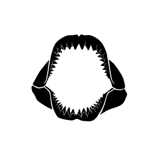 xilefian01's emblem