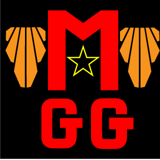 mastergeekgamer's emblem