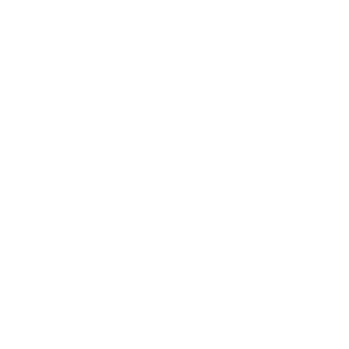 visintini6's emblem