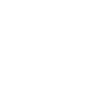 Moses TD17's emblem