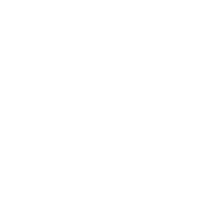 SwiftyNifty00's emblem