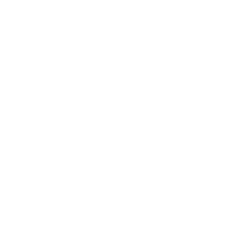 BATTIVAN's emblem