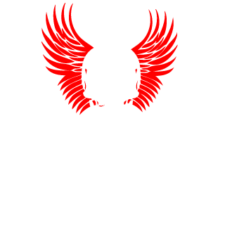 gageekboy's emblem