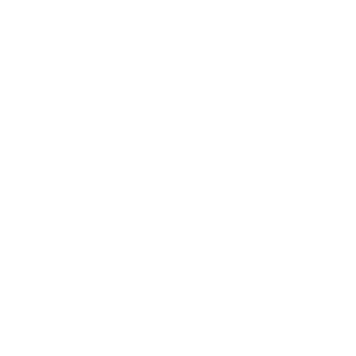 storm211's emblem
