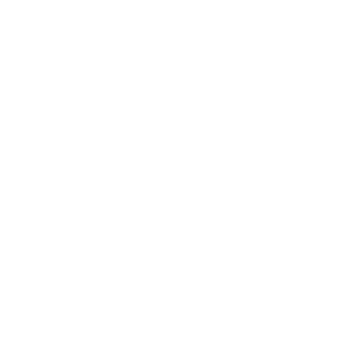 IgoRFeeH19's emblem