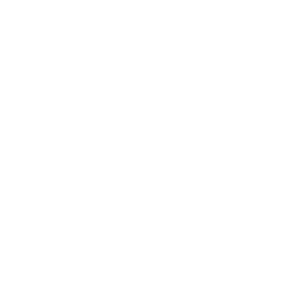 56a60e8d4494f37b's emblem