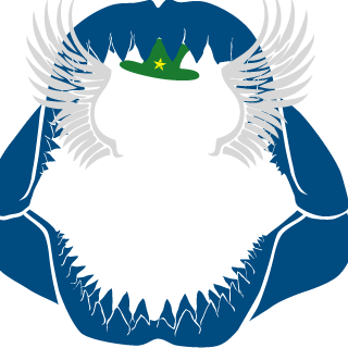 _SALAD_A55_0's emblem