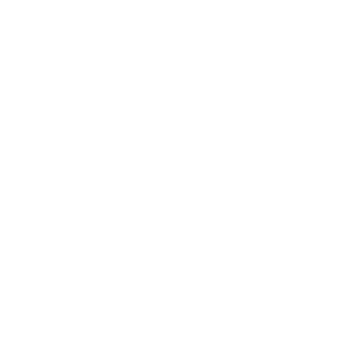 AllenRo1999's emblem