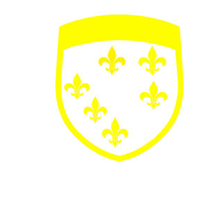 oOShockWaWeOo's emblem
