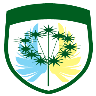 cosoy81's emblem