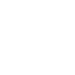 battlefans2002's emblem