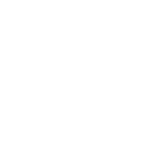 LukasTORRESBR's emblem