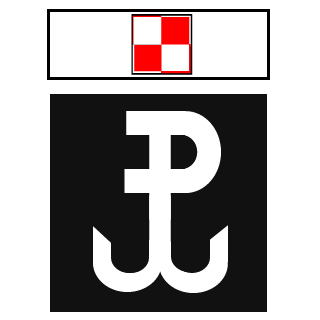 Netsky21's emblem