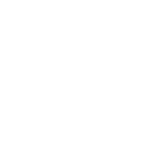 Polin95's emblem