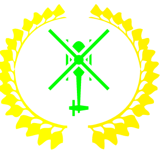 PijanyKamil's emblem