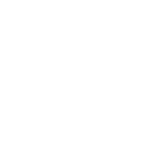 HollowSquad8790's emblem