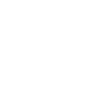 samirlezgin's emblem