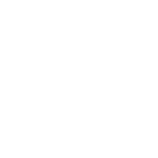 SolidSoulja0987's emblem