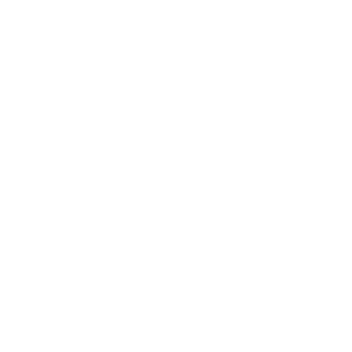 -RoGiNaSkillu's emblem
