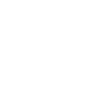 Bay8520's emblem