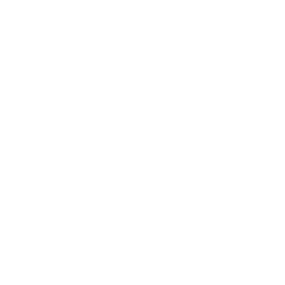 GunZL1nger's emblem