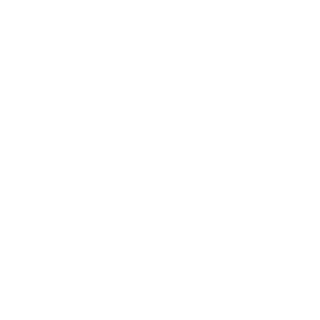 -PS_LI0N's emblem