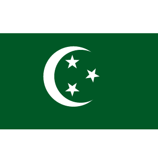 HAMZAV's emblem