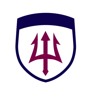 videolife's emblem