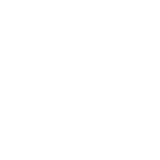 RevenantOnPc's emblem