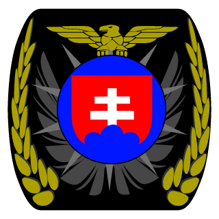 30Kiko9318's emblem
