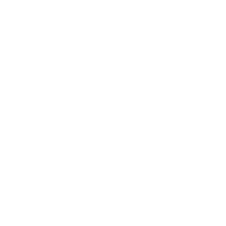 The_Borrg's emblem