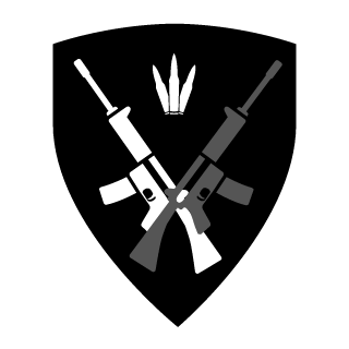PikarielimonBF4's emblem